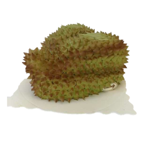Pre-1 D24 Durian Cake - 8‘’