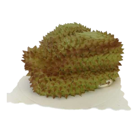 Pre-1 D24 Durian Cake - 8‘’